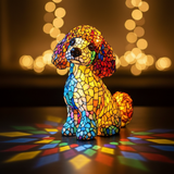 Charmante Poedel Hond