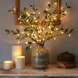 Olivenbaum Lichterkette